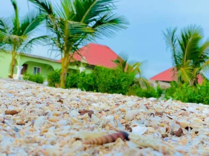 Bosofet Beach And Creek Lodge Sanyang Exterior photo