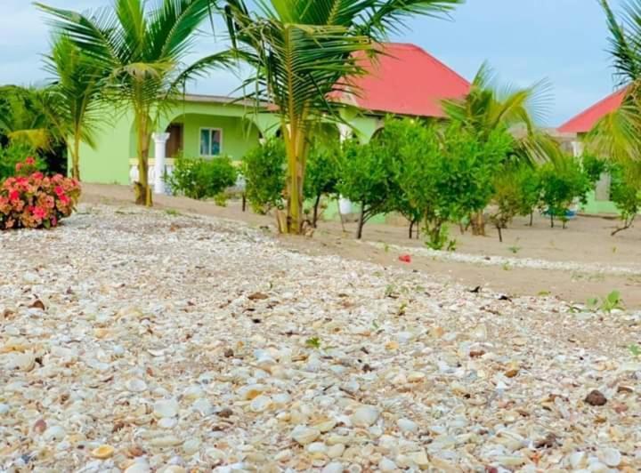 Bosofet Beach And Creek Lodge Sanyang Exterior photo
